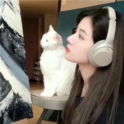 你的情歌海报
